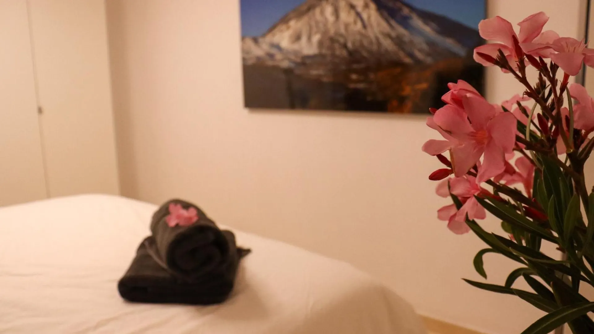 Cozy Villa Oasis Vista Mare Costa Adeje 0*,  İspanya